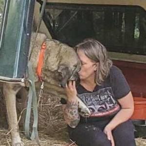 Meet your Posher, Jean